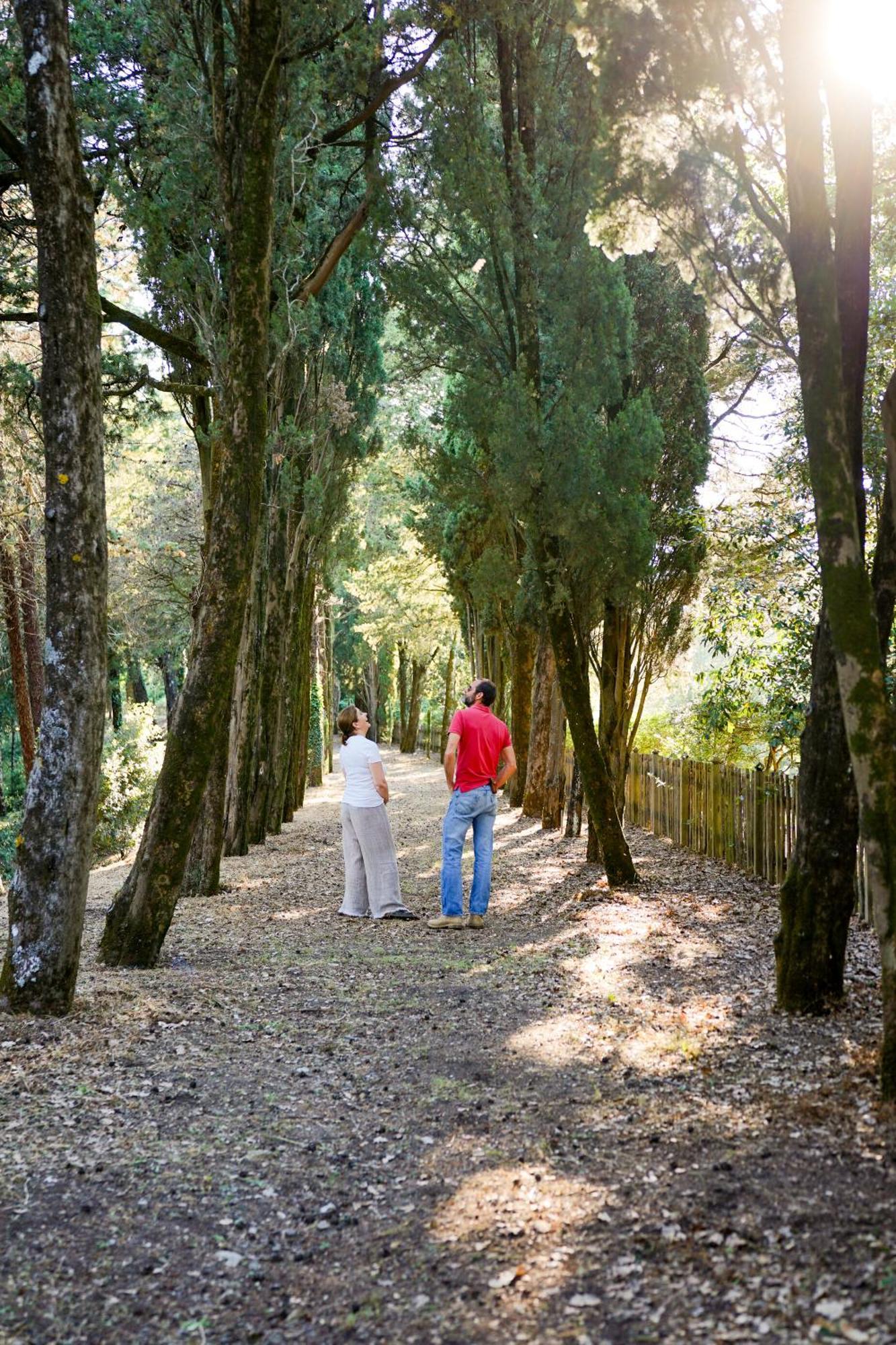 Villa Borgo Di Camporsevoli Extérieur photo